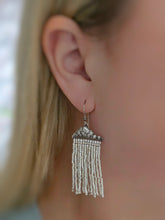Load image into Gallery viewer, Rain Cloud Fringe Earrings