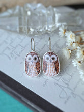 Load image into Gallery viewer, Pair 1: Owls
