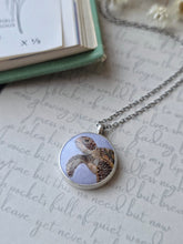 Load image into Gallery viewer, *Green Sea Turtle | The Collectors Collection
