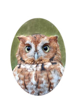 Load image into Gallery viewer, •Custom for Karen
